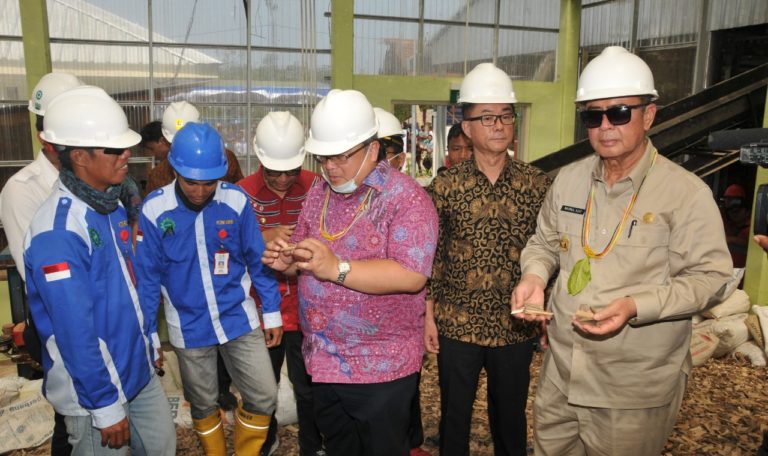 Pertama di Indonesia, Menteri PPN Resmikan Pembangunan PLTBm  Mentawai Berbahan Baku Bambu