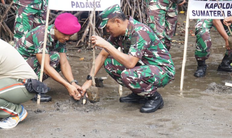 Peringatan HUT TNI, Penanaman Ribuan Bibit Mangrove Dikomandoi Danlantamal II