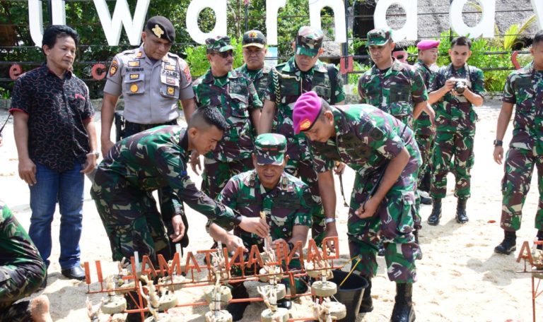 Sebanyak 10.874 Terumbu Karang  Ditanam di Ulang Tahun Korps Marinir