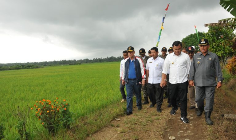 Musim Penghujan Wagub Nasrul Abit Bantu Gapoktan Basmi Hama Tikus