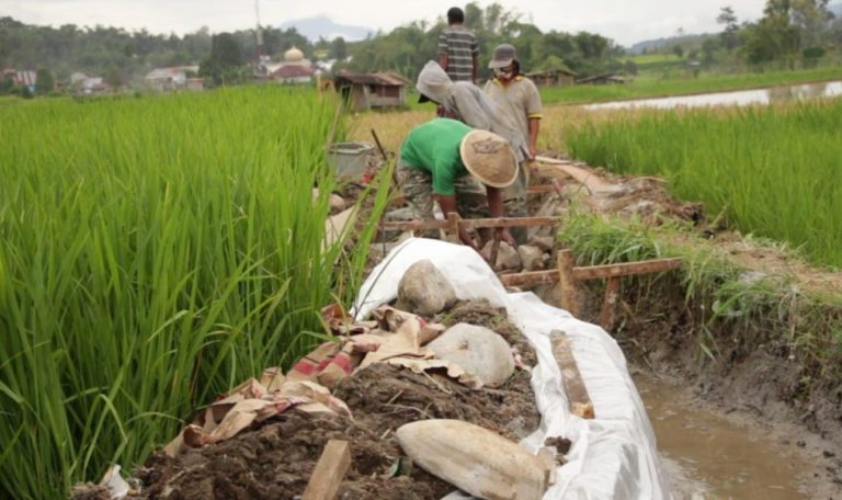 Program Padat Karya PUPR Serap 8 Ribu Lebih Pekerja di Sumbar