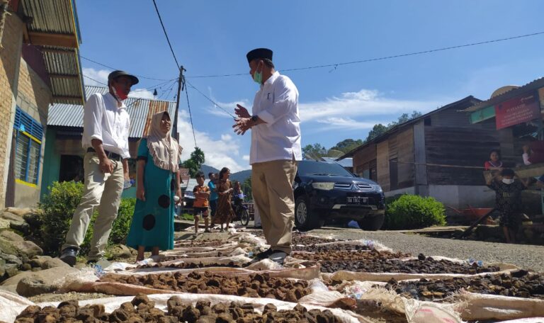 Pulang Kampung, Nasrul Abit Akan Perjuangkan Harga Gambir
