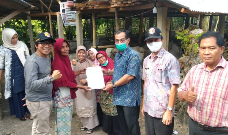 Sudah 7.419 Ekor Sapi dan Kerbau Beransuransi di Sumbar