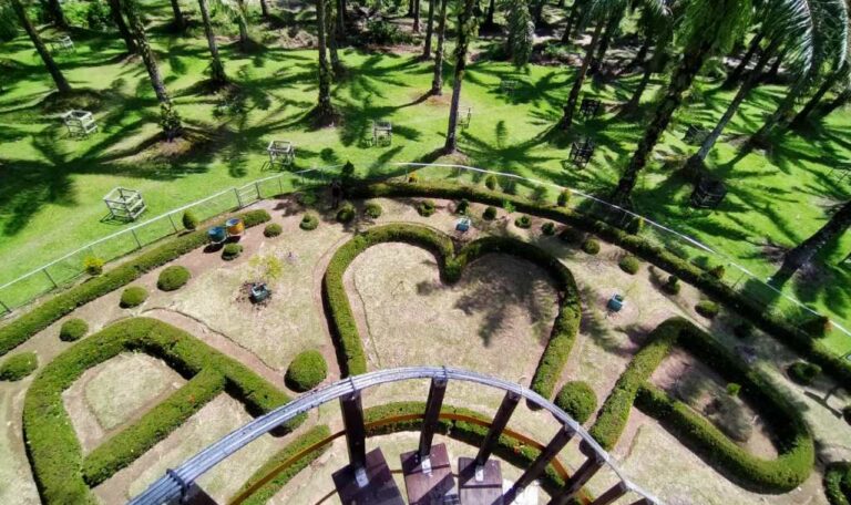 Ini Pemandangan Indah Rumah Pohon di Hamparan Kebun Sawit !