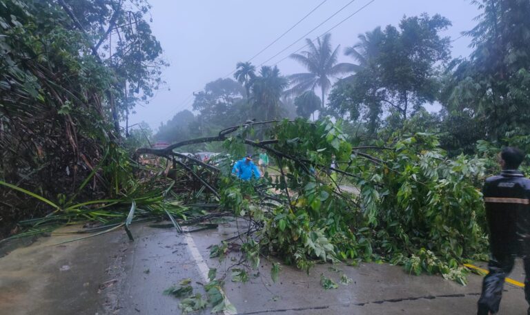 Cuaca Ekstrim, Sumbar Dilanda Banjir dan Longsor Ada Jembatan Putus