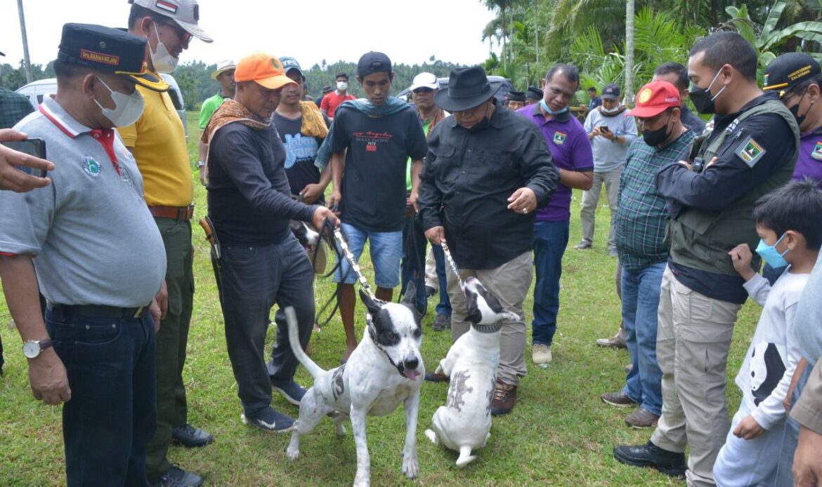 Masyarakatnya Suka Berburu, Kasus Rabies Sumbar Tertinggi di Indonesia