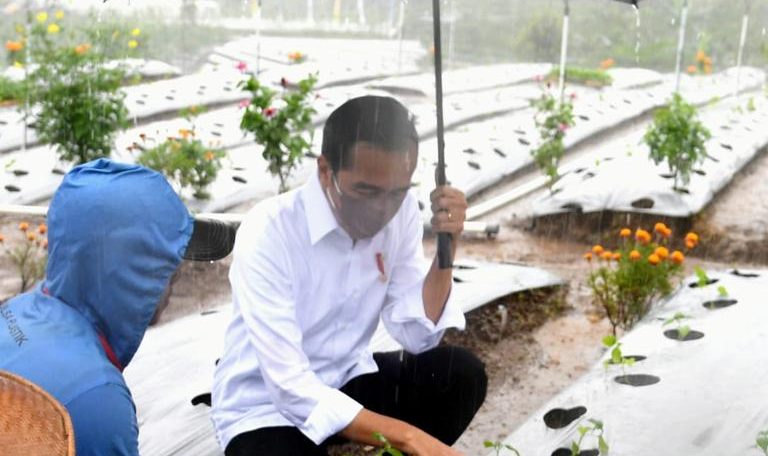 Dialog dengan Presiden, Petani Wonosobo Ungkapkan Manfaat Lumbung Pangan