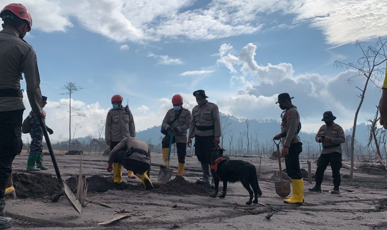 Hari Kelima Paska Erupsi Semeru, 43 Korban Meninggal 104 Luka-luka