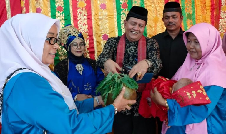 Bundo Kanduang Pauh IX Gelar Turun Mandi Anak, Irwan Basir: Peranan 4 Pilar dalam Nagari Penting