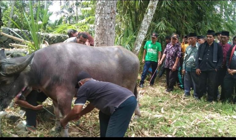 Tradisi Mambukak Kapalo Banda dan Ratik Tulak Bala di Pauh IX Kuranji, Irwan Basir: Sarat dengan Nilai Kebersamaan, Goro dan Silaturahmi
