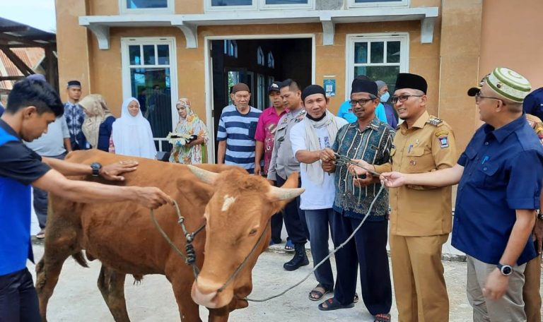 Karyawan Perumda Air Minum Padang Sebar 81 Ekor Hewan Kurban