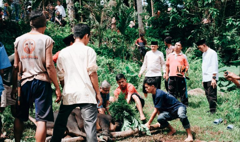 Idul Adha, Athari Ghauti Ardi Bagikan Hewan Kurban