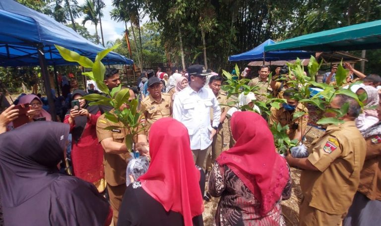 Wako Bukittinggi Salurkan 20 Ribu Bibit Buah Buahan ke Masyarakat 