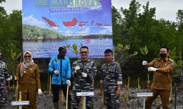 TNI AL Tanam Mangrove  Serentak di 77  Titik, Lantamal II Pusatkan di Sungai Pisang 