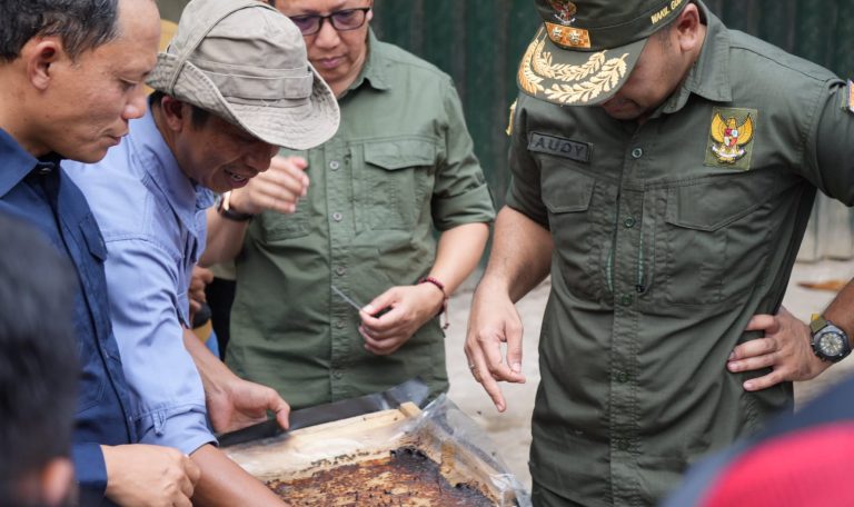 Serahkan Bantuan 600 Bibit Pohon Jengkol di Pasaman, Wagub Sumbar Ingin Produknya di nanti Branding