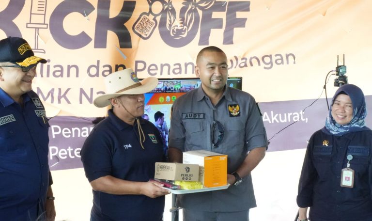 Sumbar Peroleh 700 Ribu Dosis Vaksin PMK, Dosis Sebanyak Itu bisa Vaksinasi Seluruh Sapi Warga