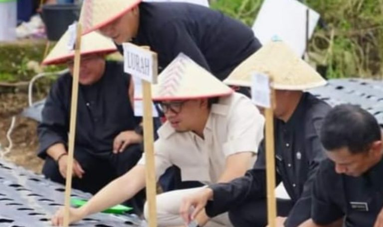 Wako Salurkan Bantuan Sarana Produksi Pengembangan Tanaman Bawang Merah dan Cabai 