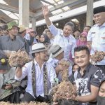 Dalam 2 Tahun Produksi Bawang Merah pada Kabupaten di Sumatera Barat Ini Bisa Kalahkan Jawa