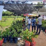Stand Bibit Durian Namlung Stand Paling Dicari di Penas Tani dan Nelayan 2023