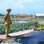 Sudah 21 Peserta Mendaftar Ikut Hadir pada Penas Tani 2023 di Sumatera Barat