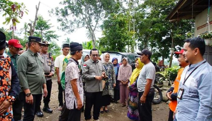 Rumah Warga Tertimpa Pohon di Limo Kaum Dibantu Baznas Tanah Datar