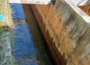 Dangkal Karena Banjir, Perumda AM Kota Padang Keruk Sedimen di Intake Palukahan