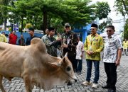 Terus Meningkat Tiap Tahun, Perumda Air Minum Kota Padang Salurkan 89 Hewan Kurban