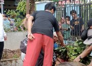 Pengurus Masjid Baiturahim Sembelih 11 Ekor Sapi, dr Herman dan Al Qudri Ikut Kurban