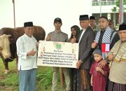 Diserahkan Gubernur Mahyeldi, Sapi Jokowi Seberat 1,052 ton Dipotong di Masjid Raya Sumbar