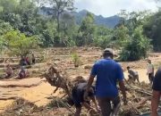 Sejumlah Rumah Roboh, Kabupaten Sijunjung Dilanda Banjir Bandang