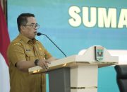 DKP Sumbar Lirik Pasar MBG untuk Hidupkan Ekonomi Pembudidaya Lele