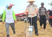 Implementasi Asta Cita Presiden, Pj Wako Padang Ikuti Penanaman Jagung Serentak 1 Juta Hektar