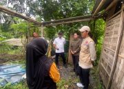 Peringatan Dini Bahaya Banjir Lahar di Gunung Semeru