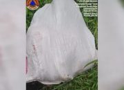 Lari ke Aceh, Diduga Pembunuh Siswi MTsN di Sungai Tarab Berhasil Ditangkap
