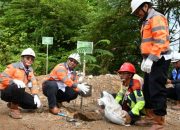 Tanam 205 Pohon Sengon di Bekas Tambang, PT Semen Padang Implementasikan Ekonomi Hijau