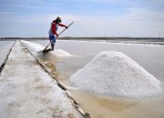 Penuhi Kebutuhan Nasional, PT Garam Lirik Sumbar Jadi Daerah Produksi