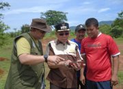 Padang Siap Jadi Tuan Rumah Raimuna Daerah 2025