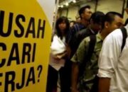 Susahnya Cari Kerja, 2 Hari Buka Lowongan Posisi Pelayan Kafe di Padang Diserbu 4.256 Pelamar