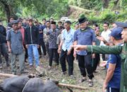Mahyeldi Serahkan Sapi Qurban untuk Warga Solok