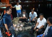 Pemprov Sumbar Tangkap Kapal Ilegal, Nelayan Tradisional Lega