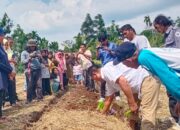 WALHI Sebut Pertanian Konvensional Bebankan Petani, MTOT Merupakan Solusi Terbaik