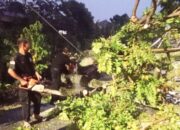 Akibat Hujan dan Angin Kencang, Pohon Kedondong Timpa Kanopi Rumah Warga