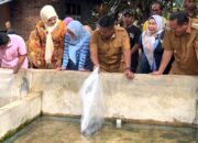 Vasko Ruseimy Serahkan 100 Induk Lele untuk Pembudidaya di Pariaman