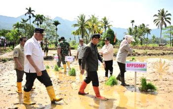 Kemendagri Apresiasi Sumbar, Rehabilitasi Lahan Pascabencana Capai 50,8 Persen