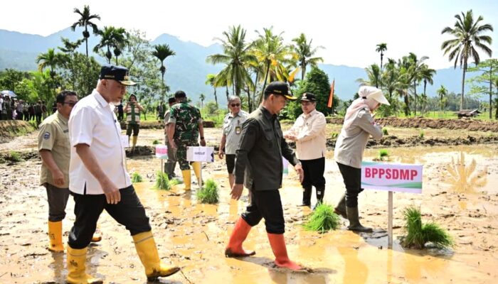Kemendagri Apresiasi Sumbar, Rehabilitasi Lahan Pascabencana Capai 50,8 Persen