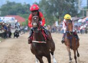 Wako Ramlan Nurmatias Hadiri Acara Pacu Kuda Wisata Derby Bukittinggi-Agam Tahun 2026