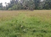 Petani Terdampak Putusnya Irigasi Gunung Nago Minta Pemerintah Segera Carikan Solusinya