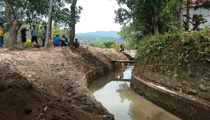 Fadly Amran Instruksikan Percepatan Pemulihan Infrastruktur Irigasi di Padang