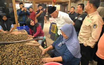 Industri Pinang Ekspor Vietnam di Sumbar Serap 600 Tenaga Kerja
