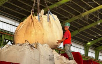 Tidak Hanya Jualan Semen, Kini PT Semen Padang Garap Industri Pulp dan Kertas
